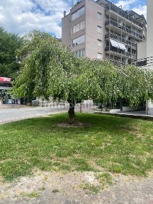 Trilocale piazzale Attilio Toccalli, Centro, Sondrio