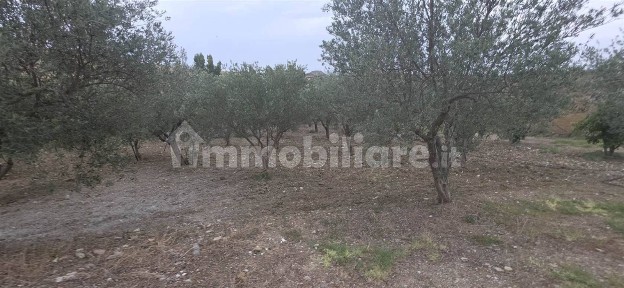 Caltanissetta, Contrada Bifaria