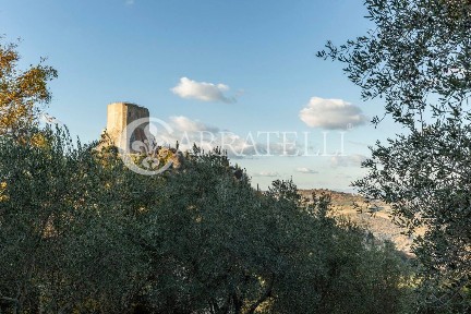 Appartamento via del poggiolo, Centro, Castiglione d'Orcia