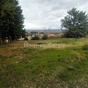 Castiglione d'Orcia, Case Sparse Querciole 2