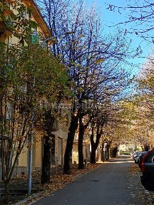 Abbadia San Salvatore, Via Sabatini, 13