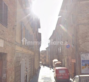 Siena, Lizza - Camollia, VIA DI CAMOLLIA