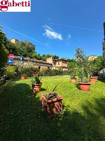 Siena, Lizza - Camollia