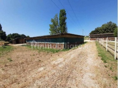 Appartamento all'asta Località Casino Casino snc, Castelnuovo Berardenga