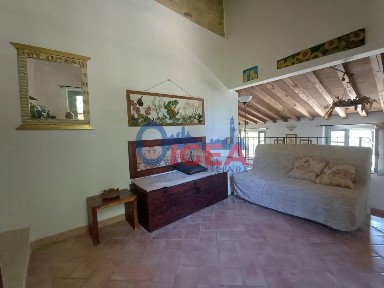 Casole d'Elsa, Cotorniano