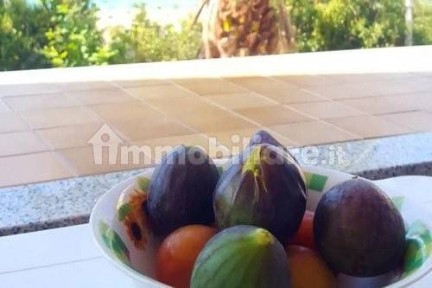 Villa plurifamiliare via Turrazzo, Cutro