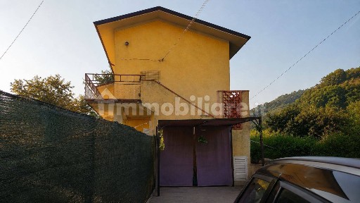 Massarosa