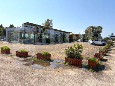 Capannone in Affitto