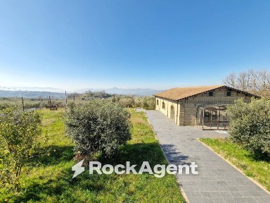Locale commerciale in Affitto