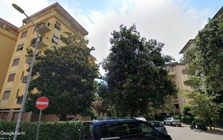 Pisa, Landi, Via Pasquale Landi, 12
