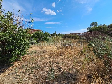 Sellia Marina, Viale delle Sorgenti