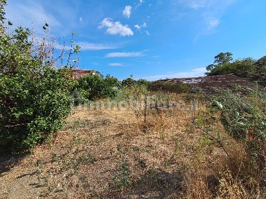 Sellia Marina, Viale delle Sorgenti