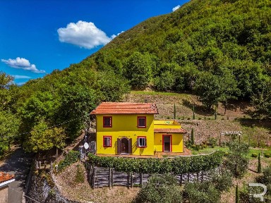 Fivizzano, Strada Statale del Valico del Cerreto