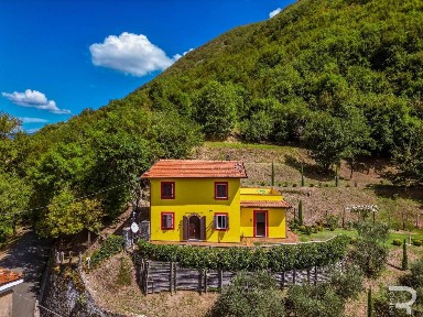 Fivizzano, Strada Statale del Valico del Cerreto