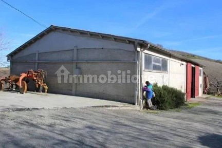 Villa all'asta Strada Bivio Teodorano-Piandispino 37, Meldola