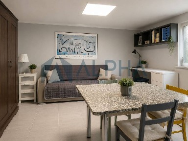 Villa bifamiliare via Alberto Mario, Parco Urbano - Piscina, Forlì