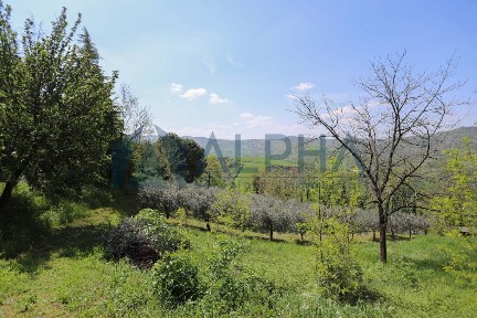 Villa bifamiliare via Valle, Bertinoro