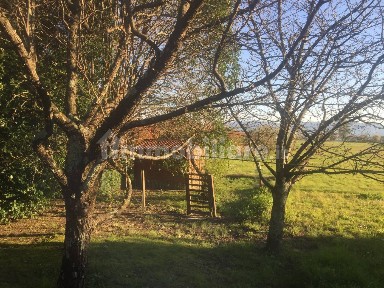 Villa unifamiliare, ottimo stato, 70 m², Santomato, Pistoia