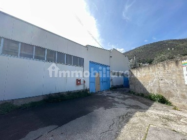 Capannone in Affitto