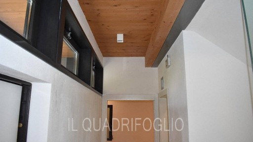 Cesena, Luzzena