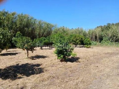 Rustico, da ristrutturare, 150 m², Centro, Arborea