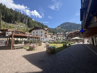 Attività commerciale in Affitto