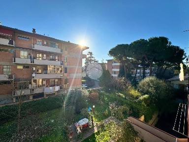 Firenze, Soffiano, Via Bernardo Daddi, 11