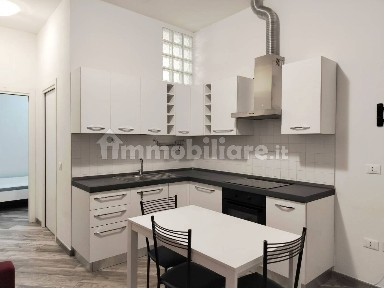 Bilocale ottimo stato, piano terra, San Vitale, Bologna
