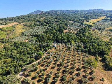 Castiglione d'Orcia, Case Sparse Rofanellone