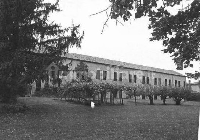 Magazzino all'asta via Xxviii Aprile, Snc, Vescovana