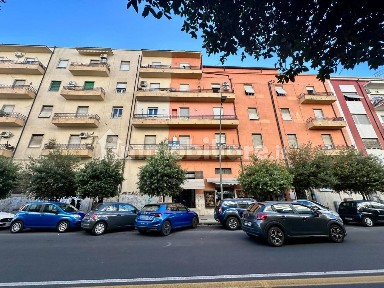 Attività commerciale in Affitto