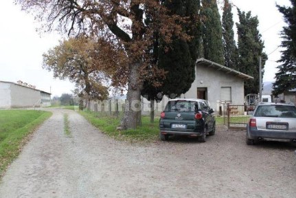 Azienda agricola all'asta Loc. San Colombano, Str. Del Francolini, 5, Meldola