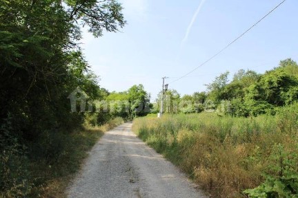 Azienda agricola all'asta via Podere Traversagne Di Sotto, 103, Civitella di Romagna