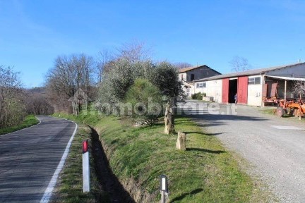 Azienda agricola all'asta Strada Bivio Teodorano-piandispino, 37, Meldola