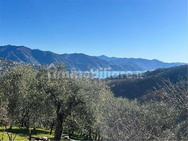 Villa unifamiliare via Pero, San Lorenzo Della Costa, Santa Margherita Ligure