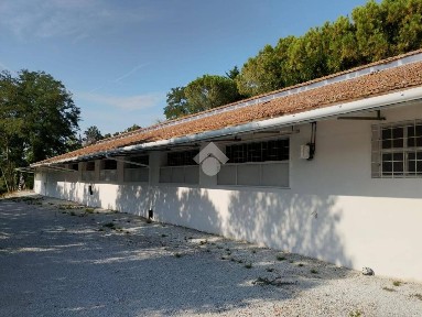 Capannone in Affitto