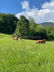 Cascina, ottimo stato, 158 m², Prato, Bedonia
