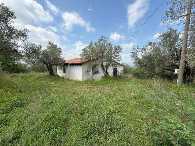 Terratetto unifamiliare Strada rurale Nido, Frasso Telesino