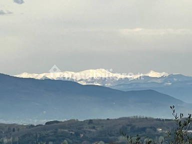 Collesalvetti, Via del Poggione, 31