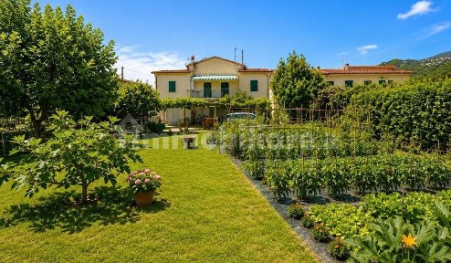 Campo nell'Elba, via lentisco