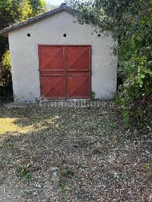 Suvereto