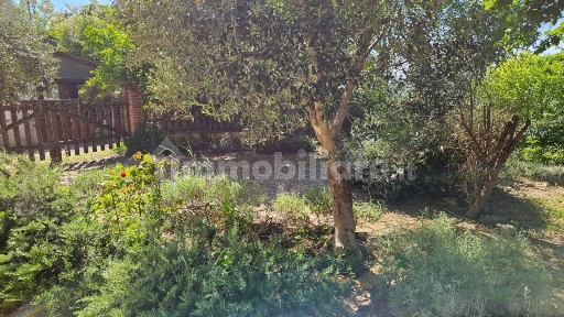 Rustico via Salvamaggio 1, Villanova, Colli al Metauro