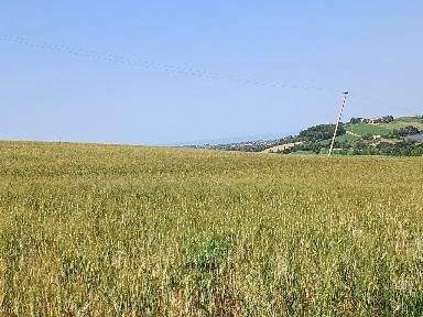 Rustico località caminate 26, Caminate, Fano