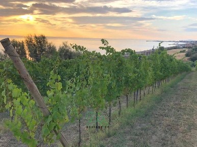 Rustico Località San Biagio 48, San Biagio - Roncosambaccio, Fano