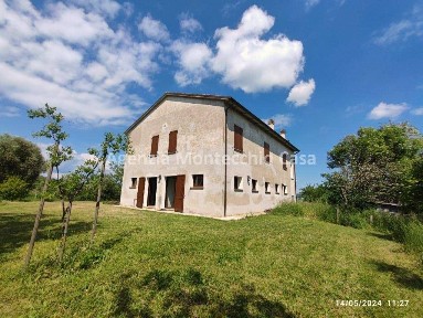 Rustico QGMH+V3 Sassocorvaro Auditore Italia, Sassocorvaro Auditore