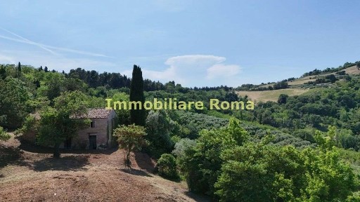 Casa colonica via Mombaroccio 24, Cartoceto