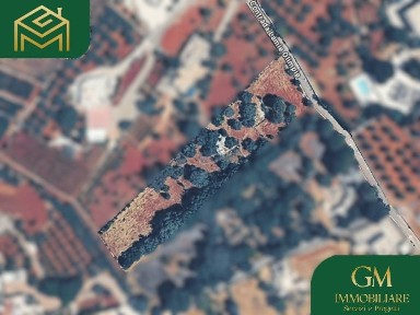 Locorotondo, Contrada Lamie Olimpie