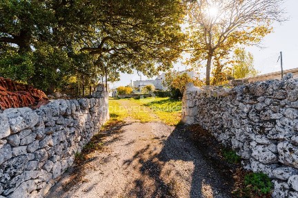 Putignano, Strada comunale Monteserio, 3
