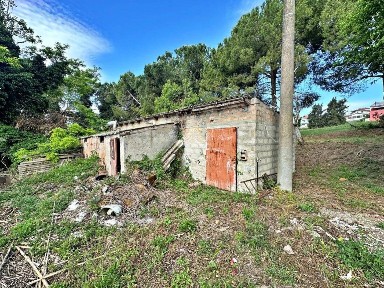Rustico via Roma 1, Centro, Tavullia
