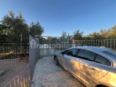 Rustico Strada Provinciale Ruvo di Puglia-Palombaio, Ruvo di Puglia